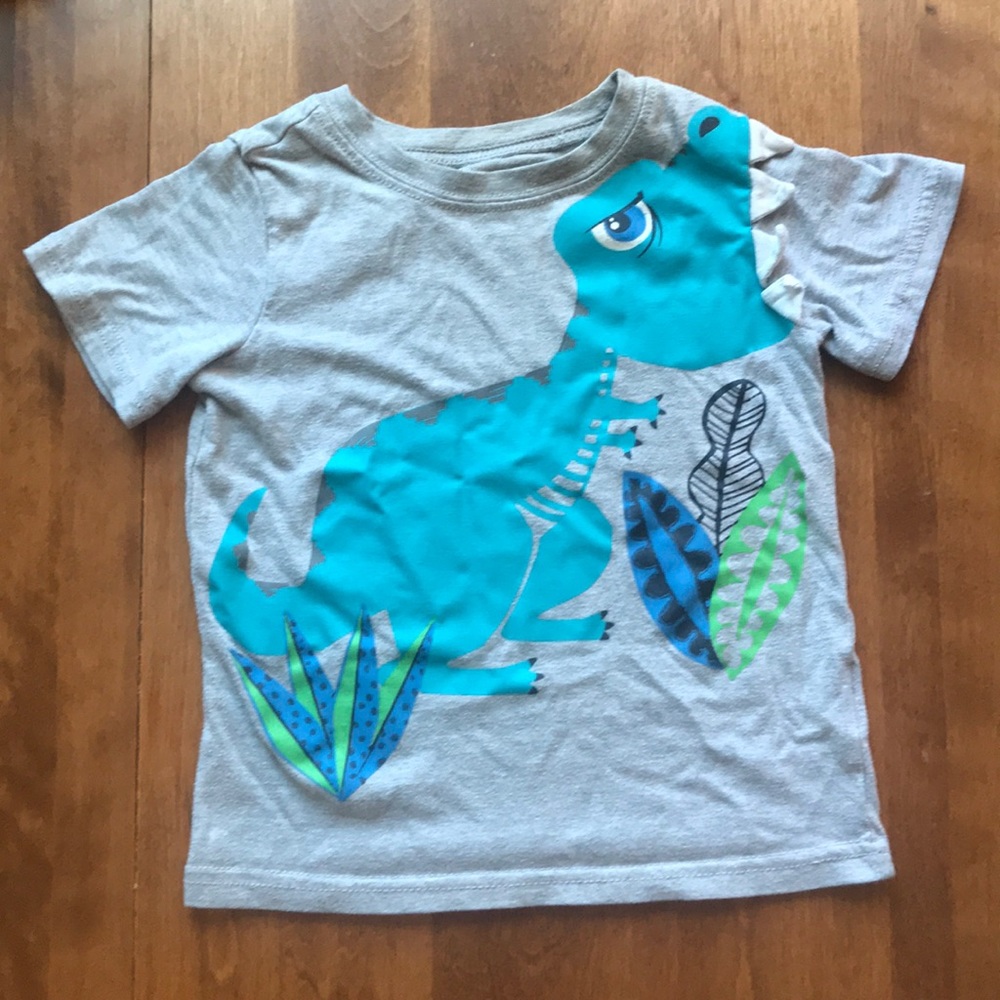 Grey and blue dinosaur tee by wonder kids (4t)